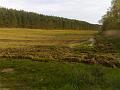200704091829 